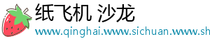 纸飞机 沙龙